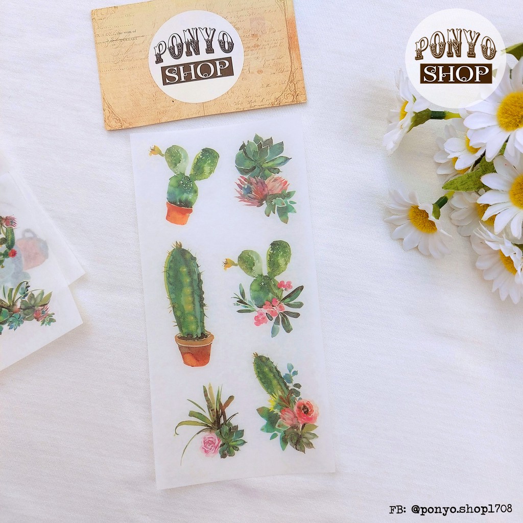 Bộ 6 sticker xương rồng Cactus