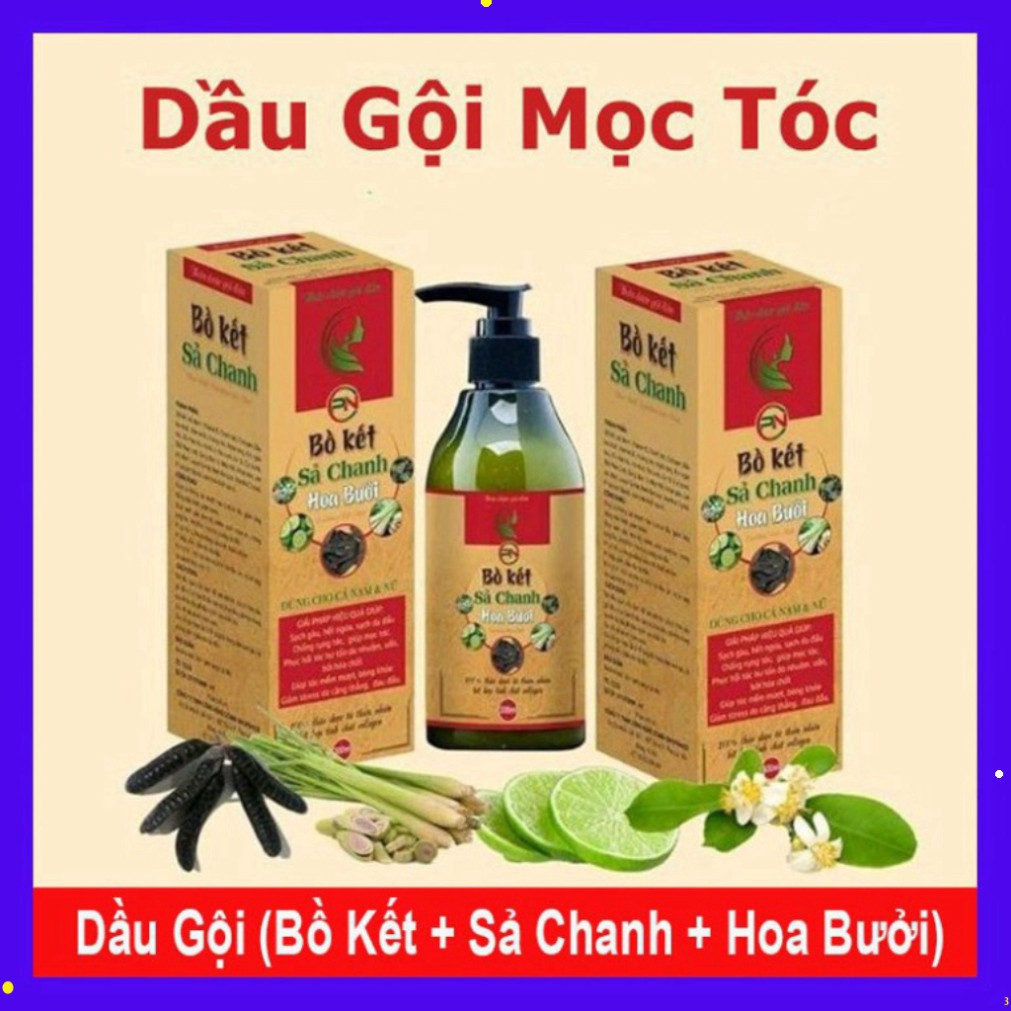 Dầu gội bồ kết sả chanh hoa bưởi thảo dược cô đặc mọc tóc 300ml Giúp sạch gàu, đen tóc, mềm, suông mượt tóc