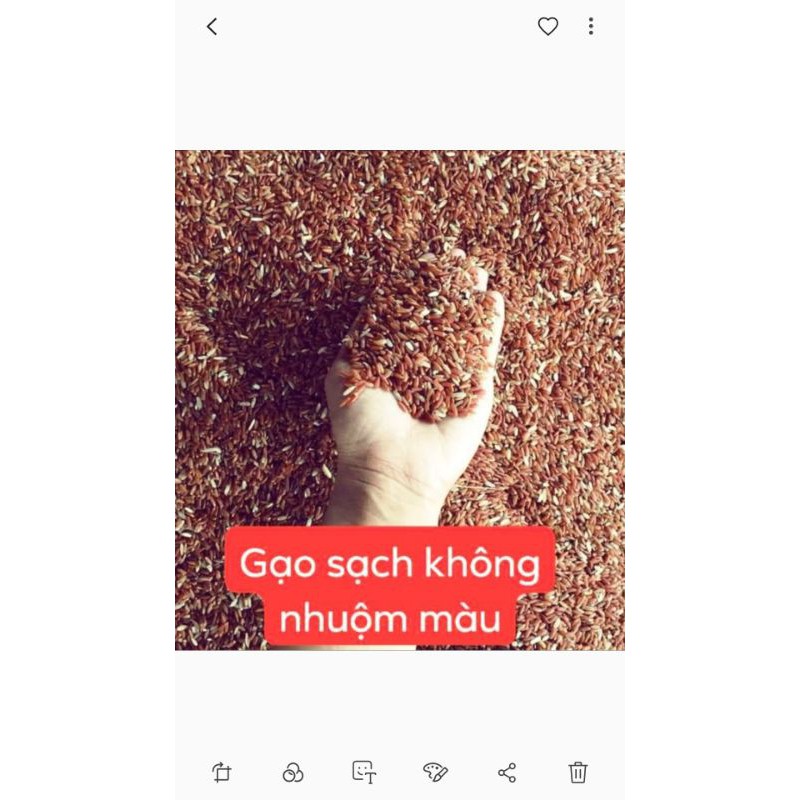 Trà hoa ngũ cốc gói 1kg rang sẵn thơm ngon