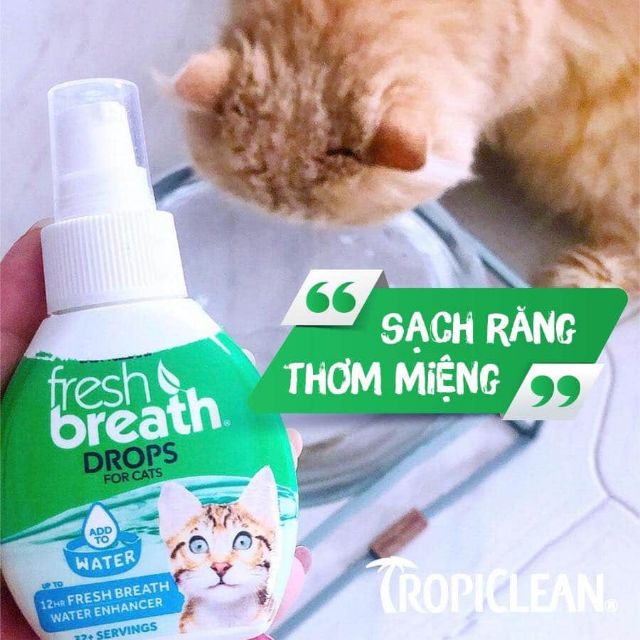 NƯỚC VỆ SINH RĂNG MIỆNG MÈO, GIẢM MÙI HÔI (TROPICLEAN, MỸ, ĐẬM ĐẶC)