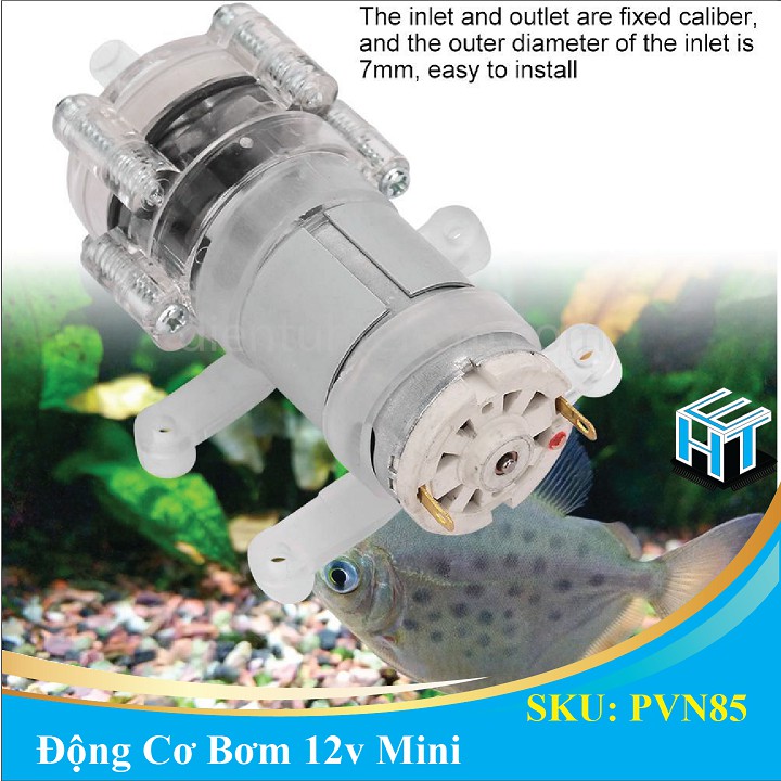 Động Cơ Bơm 12v Mini Dùng Cho Bể Cá Máy Rửa Tay