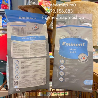 Eminent kitten hạt mèo con hàng châu âu bao 2kg