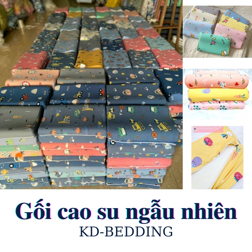 Gối cao su non cho bé đi học, gối nằm cho trẻ từ 3 đến 10 tuổi êm ái thông hơi KD BEDDING kích thước 30cm x 50cm
