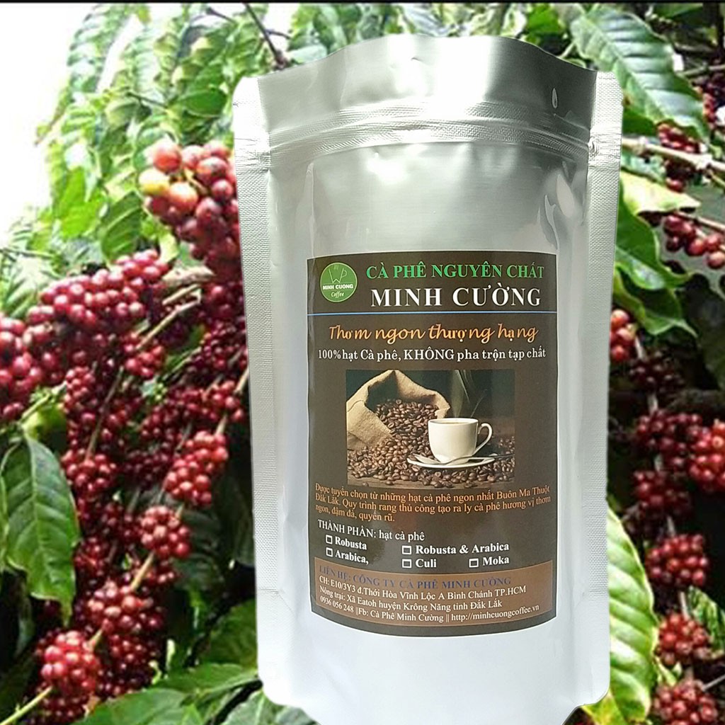 100GR Cà phê nguyên chất Arabica Cầu Đất kết hợp cafe Robusta Đăk Lăk hạt chín, loại NGON, gói nhỏ MẪU THỬ | BigBuy360 - bigbuy360.vn