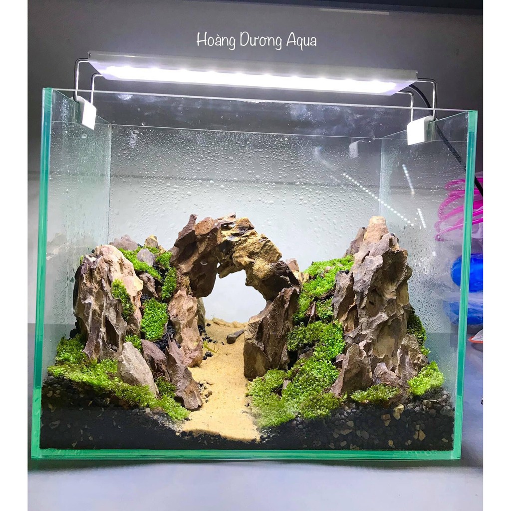 Đá Tiger 1 Kg - Đá Trang Trí Bể Thủy Sinh, Bán Cạn