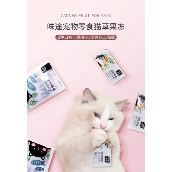 Soup Cỏ Mèo vị Cá ngừ gói 16gr PETSTWO tiêu lông