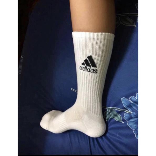 Tất ADIDAS cổ cao [ Hàng dày xuất khẩu ] Vớ thể thao dệt kim cao cấp 95% Coton hạn chế mùi hôi và thông thoáng