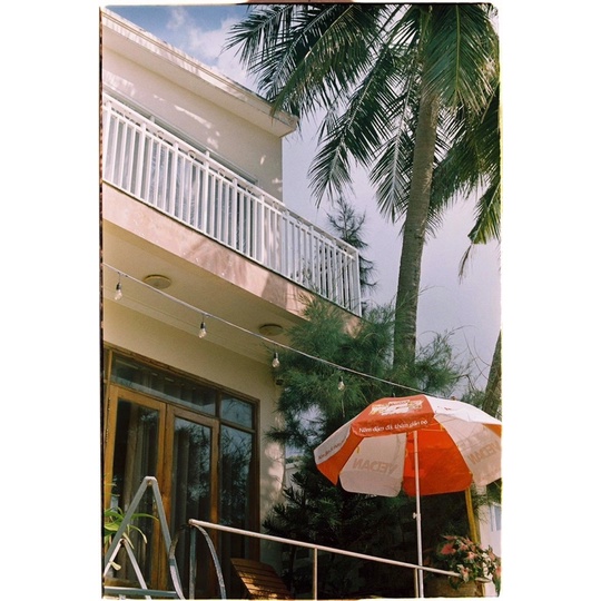 - Film 135  giá rẻ, outdate, 24 kiểu, hàng US