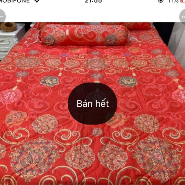 Drap cotton HQ CÓ MỀN