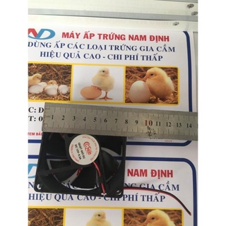 Quạt máy ấp trứng 12v 8cm x 8cm