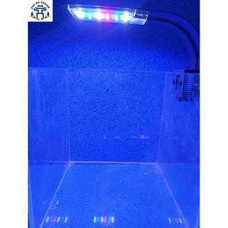 Đèn Led Kẹp Thành Bể Cá RGB
