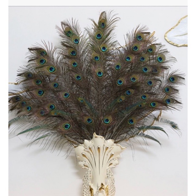 Lông công 100cm tự nhiên tài lộc | BigBuy360 - bigbuy360.vn