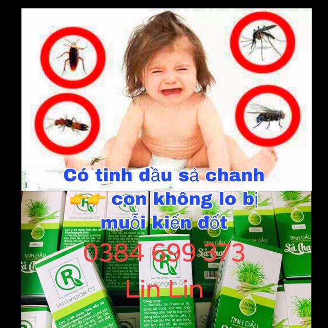 Combo 5 chai tinh dầu Sả chanh chỉ 550k