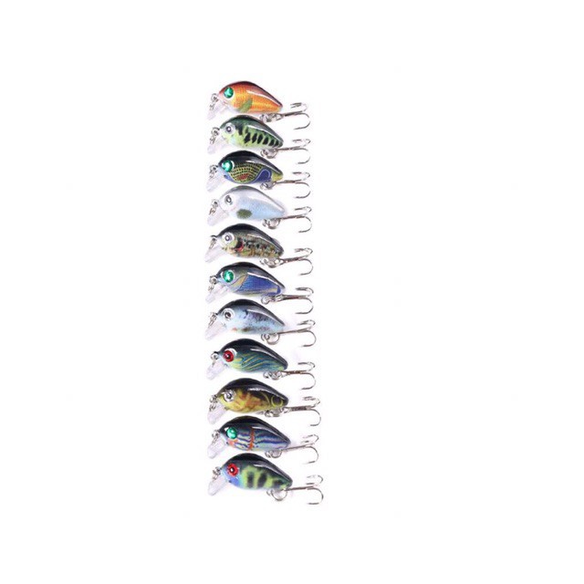 Mồi ruồi 3D - chuyên bắt rô phi,rô ta, chuối, thiểu, ngão,sộp,chim đồ câu FISHING_HD