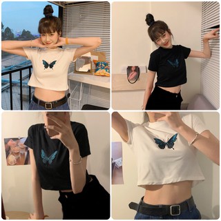 Áo Croptop Nữ tay ngắn hình thêu bướm dáng ulzzang Hàn Quốc