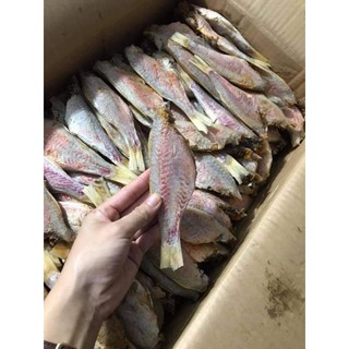 1kg CÁ PHÈN CHỈ khô thịt thơm ngon