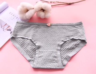 Quần chip coton cho mẹ