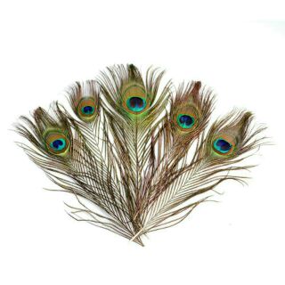 Lông công tự nhiên size vừa 70 - 80cm