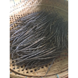 Combo 10 con cá hải xà