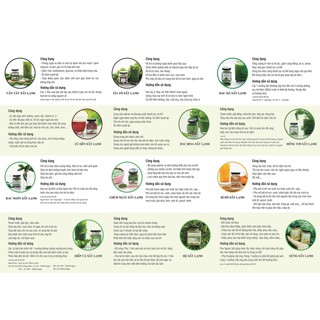 Combo ăn dặm cho bé - Bột rau củ sấy lạnh đầy đủ chất dinh dưỡng LIM