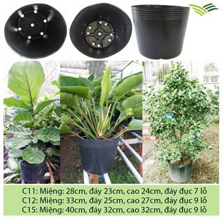 5 Chậu nhựa đen, Vĩ Hiền, chậu trồng cây cảnh, size từ C11-C15