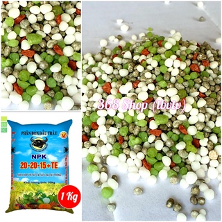 Phân bón 3 màu đầu trâu npk 20-20-15+te - bổ sung đạm, lân, kali - giúp trái to, đẹp màu, siêu ngọt..