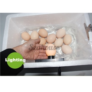Máy Ấp Trứng Tự Động 22 Ngăn