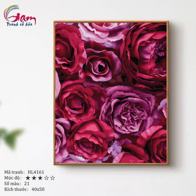 Tranh tô màu theo số hoa hồng GAM căng khung 40x50cm dày 2.5cm HL4161