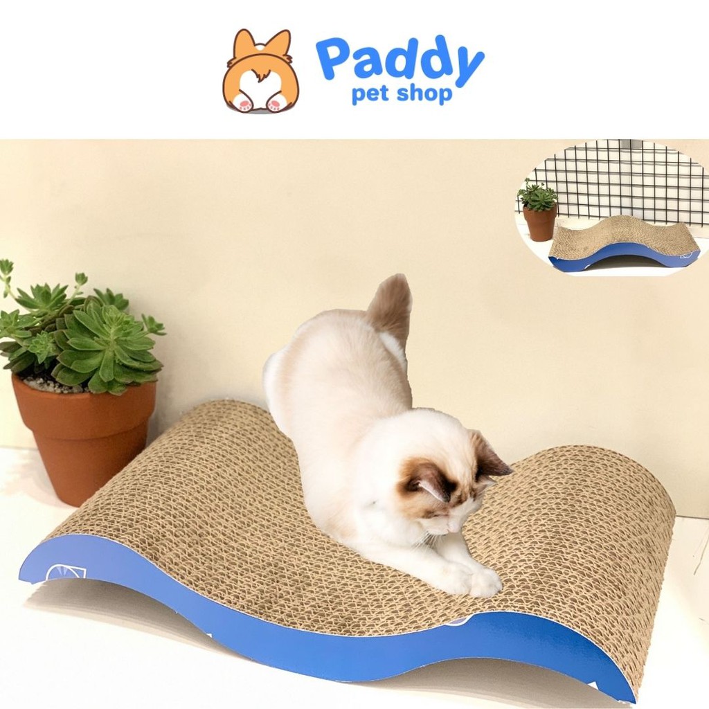 Bàn Cào Móng Giấy Cho Mèo + Tặng Kèm Cỏ Mèo (Catnip/Catmint)