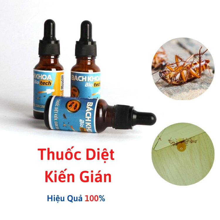 [Hiệu Quả 100%] Thuốc diệt kiến, diệt gián BioTech thổi bay côn trùng khỏi gia đình bạn