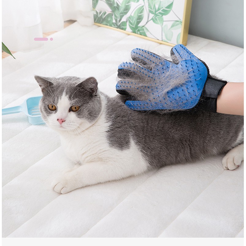 Găng Tay Lớn Chải Lông Cho Chó Mèo - Chăm sóc thú cưng LUPETVN