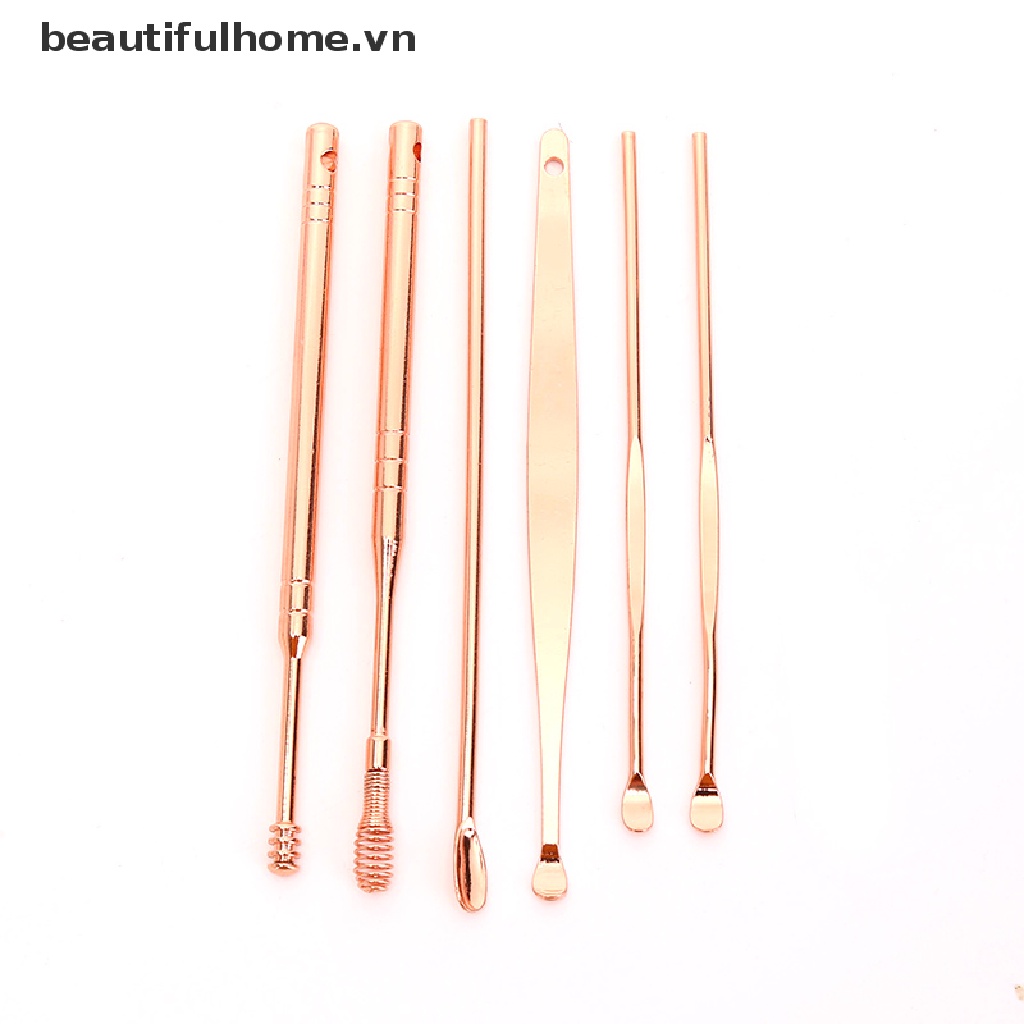 Set 6 Dụng Cụ Lấy Ráy Tai Bằng Inox Tiện Lợi