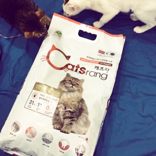 Thức ăn hạt khô cho mèo Catsrang 1kg chiết