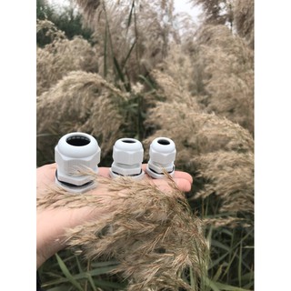 Ốc siết cáp pg 13.5