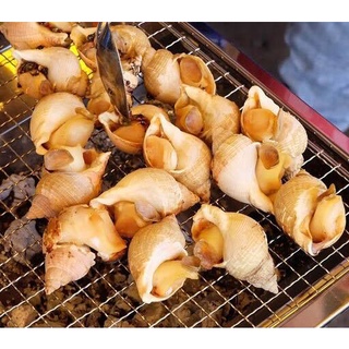 1Kg ỐC BULOT / HẢI SẢN ăn vặt