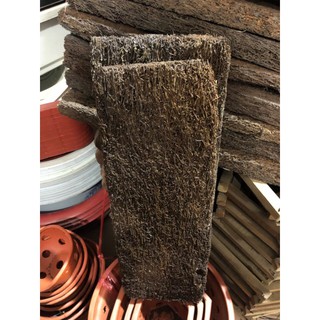 RỚN BẢNG TRỒNG LAN (60x 18cm) NHẬP KHẨU.