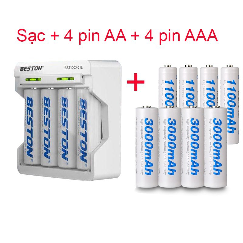 Pin BESTON 2A, 3A + sạc tự ngắt DC401L