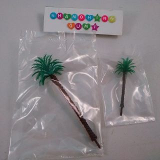 Cây dừa cọ