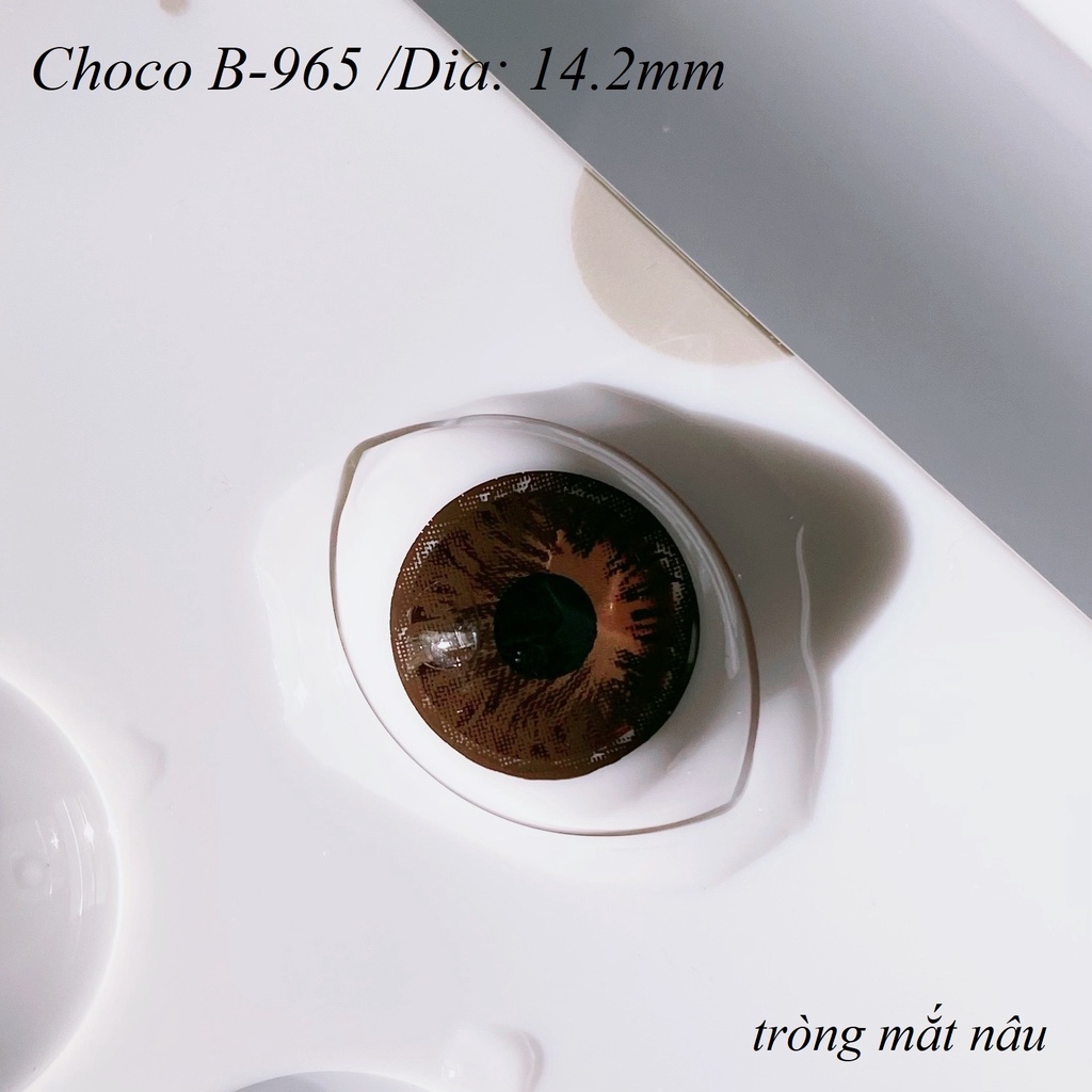 Lens Choco B-965 [EXP 9/2023] (kính áp tròng Sona Hàn Quốc)