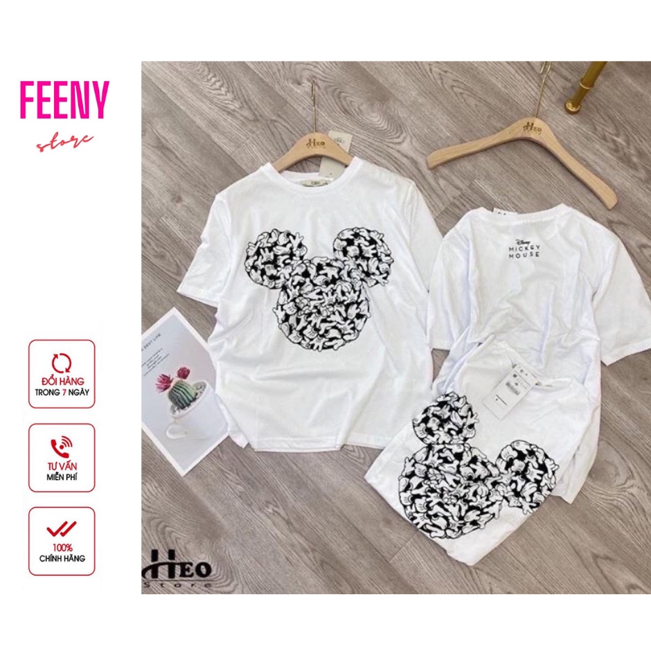 Áo thun nữ cổ tròn hoạt tiết hoạt hình FREESIZE dưới 55kg FEEN STORE