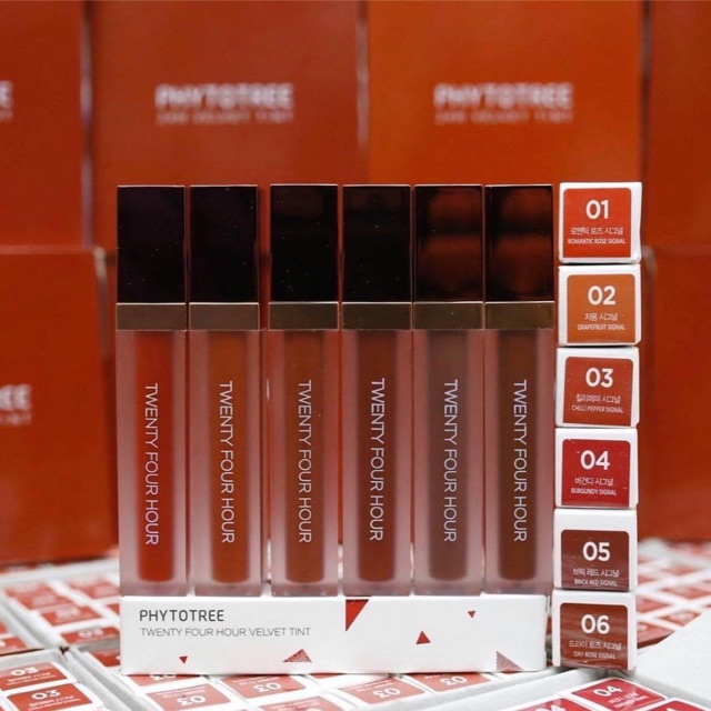 Son kem 24h phytotree