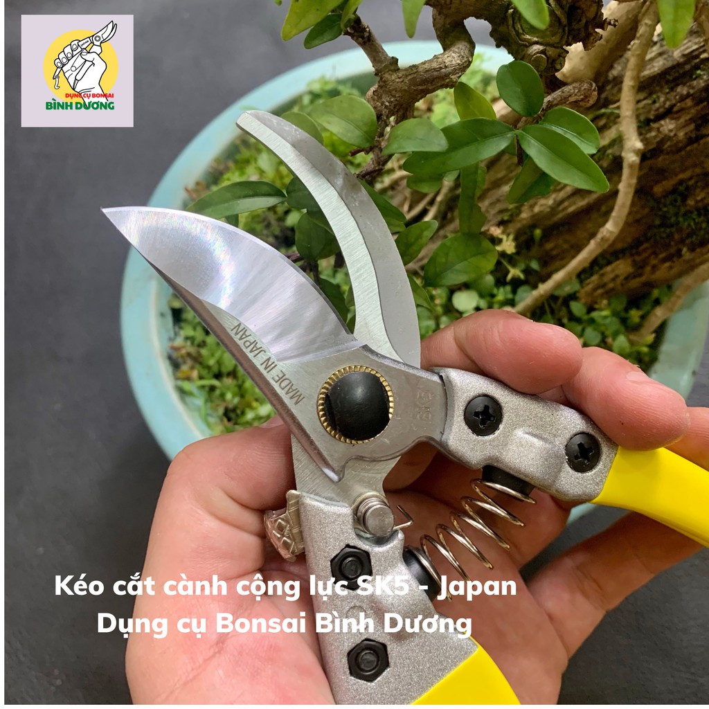 COMBO 2 KÉO CẮT TỈA JAPAN - SK5 [CHÍNH HÃNG] CẮT TỈA CÂY CẢNH BONSAI