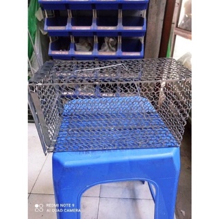 Bẫy chuột mạ kẽm đa sỹ