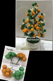 Gốc cây hoa mai hoa đào
