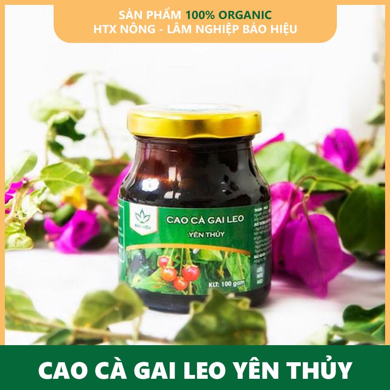 Giải độc gan, Giải rượu Cao Cà gai leo Yên Thủy 100g | BigBuy360 - bigbuy360.vn