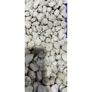 Nham thạch trắng (đá lông vũ) size 1-2cm (1kg)