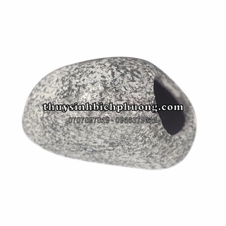 HANG GỐM CHO CÁ TÉP Ở ẨN SINH SẢN NHÀ CÁ TÉP