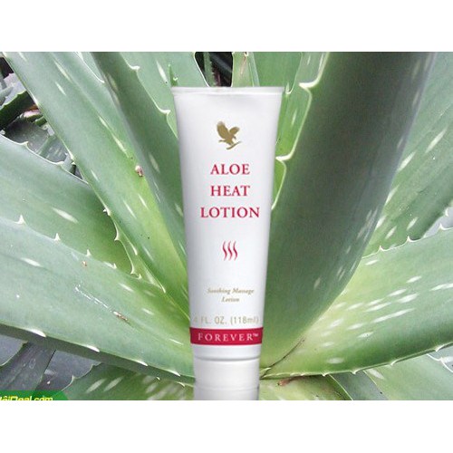 Aloe Heat Lotion 064 Flp| Kem Mát Xa Làm Nóng Giảm Đau Nhức