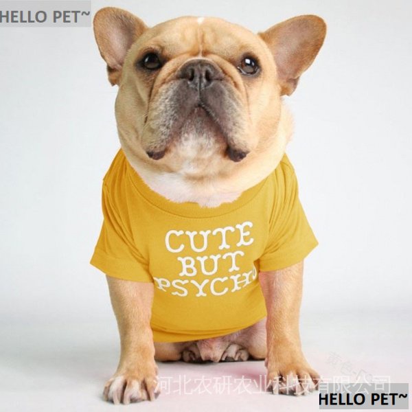 Áo Thun Cổ Tròn In Hình Chú Chó Bull Pháp N8A0 Cho Thú Cưng