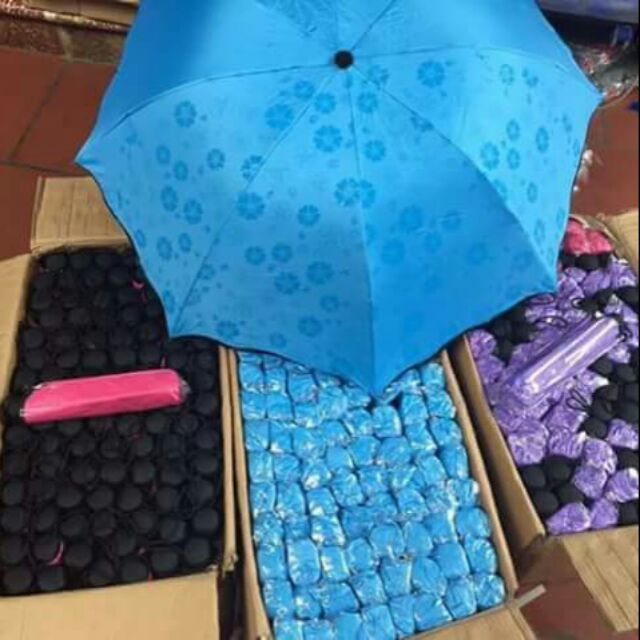 Ô gặp nước nở hoa